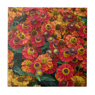 Red and orange helenium flowers tile