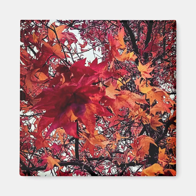 Red and orange leaves magnet (Front)