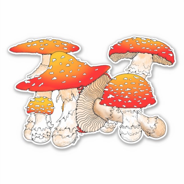 Red and orange mushroom  (Front)