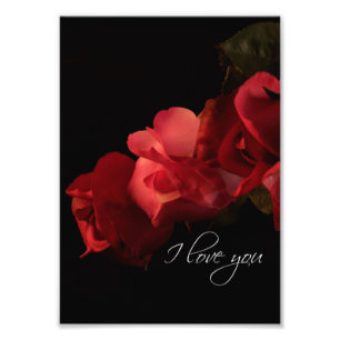 Red and Pink Roses "I love you" Photo Print