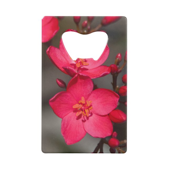 Red and Pink Tropical Fiji Flowers Wallet Bottle Opener (Front)