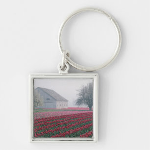 Red and pink tulips greet the day on a misty keychain