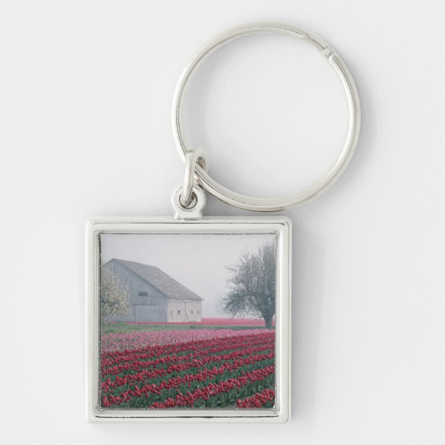 Red and pink tulips greet the day on a misty keychain (Front)