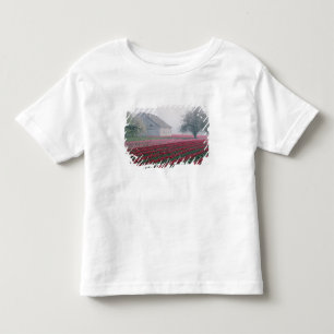 Red and pink tulips greet the day on a misty toddler t-shirt