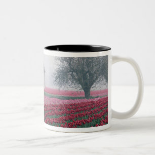 Red and pink tulips greet the day on a misty Two-Tone coffee mug
