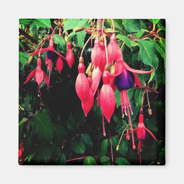 Red and purple flowers magnet (Front)