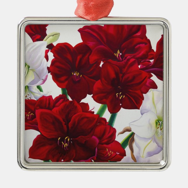 Red and White Amaryllis 2008 Metal Ornament (Front)