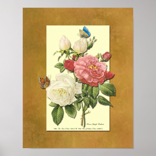 Red and White Botanical Roses Faux Grunge Poster (Front)
