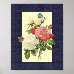 Red and White Botanical Roses on Blue Poster