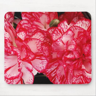 Red and White Carnation-Computer Mousepad