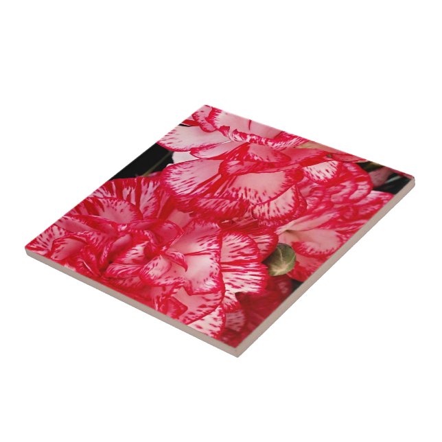 Red and White Carnations-CERAMIC TILE (Side)