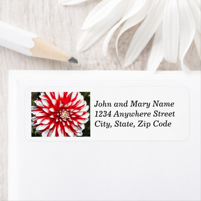 Red and White Dahlia Floral Return Address (Insitu)