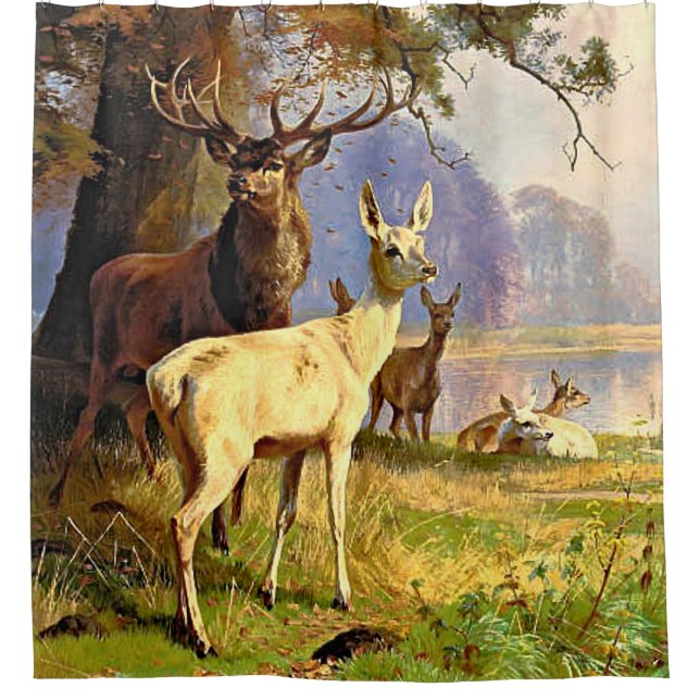 Red And White Deer Near A Forest Pond  (Front)