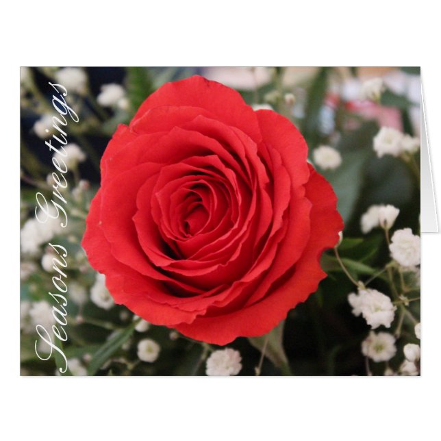 Red and White Flowered (Front Horizontal)