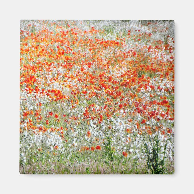Red and White flowers  coaster Magnet (Front)