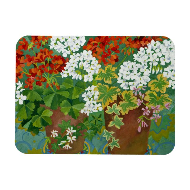 Red and white geraniums in pots 2013 magnet (Horizontal)