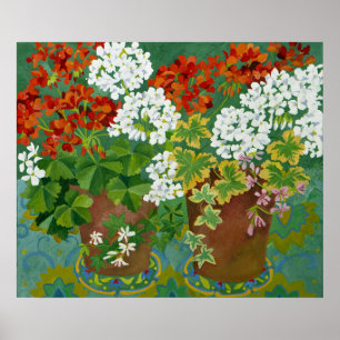 Red and white geraniums in pots 2013 poster