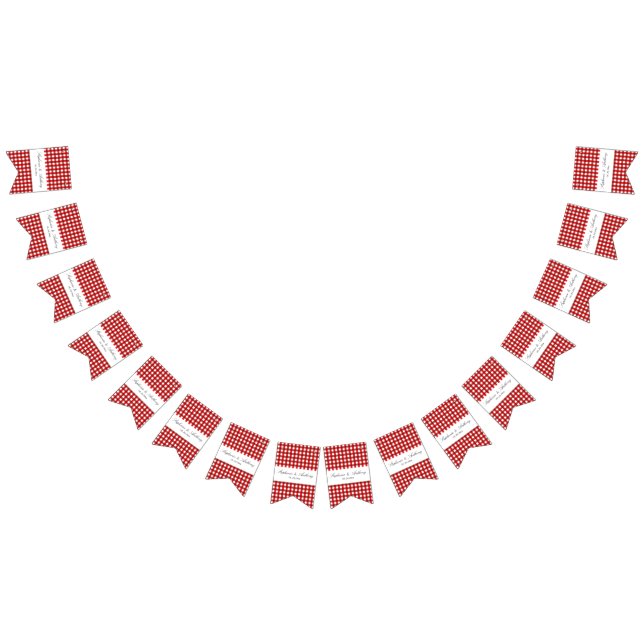 Red and White Gingham Pattern Barbeque Wedding Bunting Flags (All)