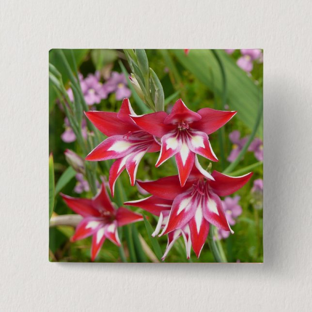 Red and White Gladiolas Summer Botanical 2 Inch Square Button (Front)