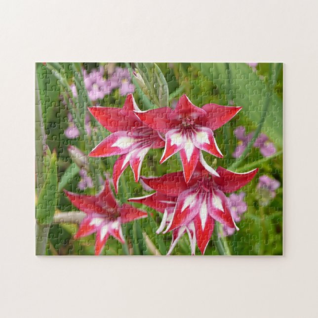Red and White Gladiolas Summer Botanical Jigsaw Puzzle (Horizontal)