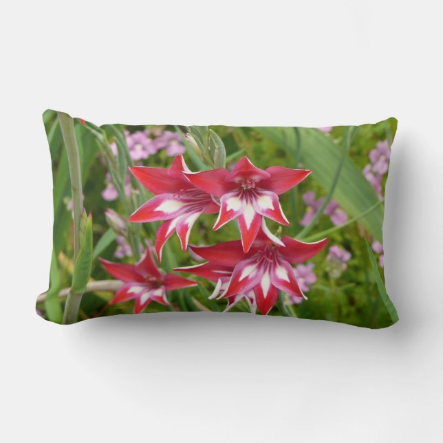 Red and White Gladiolas Summer Botanical Lumbar Pillow (Front)
