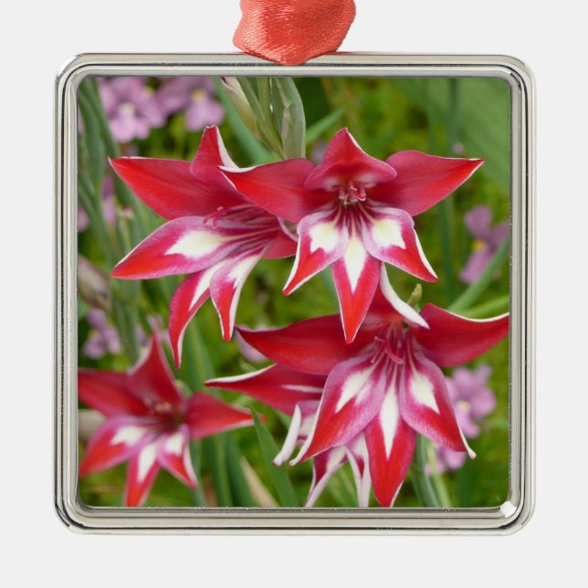 Red and White Gladiolas Summer Botanical Metal Ornament (Front)