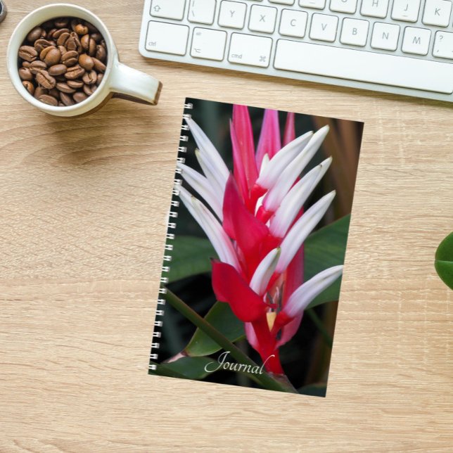 Red and White Heliconia Floral Notebook (In Situ)