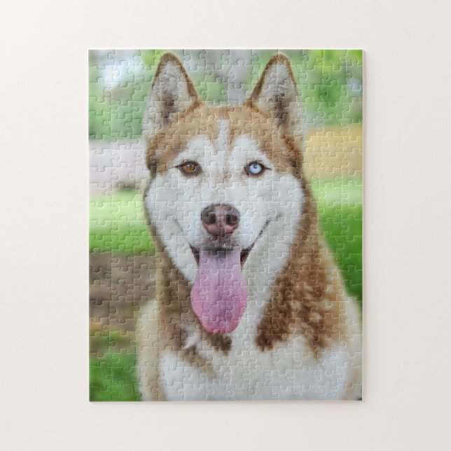 Red and White Husky Dog Jigsaw Puzzle (Vertical)