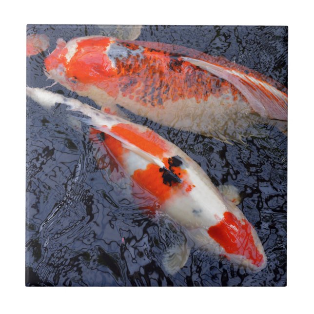 Red and white koi carp tile (Front)