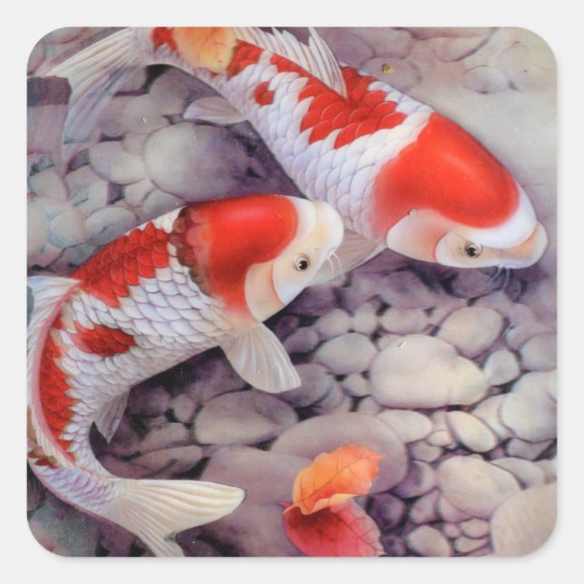 Red and White Koi Fish Pond Square Sticker (Front)