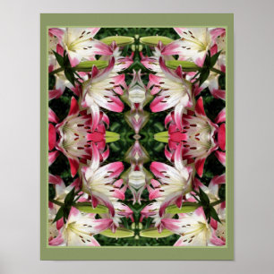 Red And White Lily Flowers Abstract  Poster