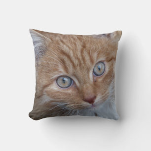 Red and White, Long-Haired, Tabby Cat Face Throw Pillow