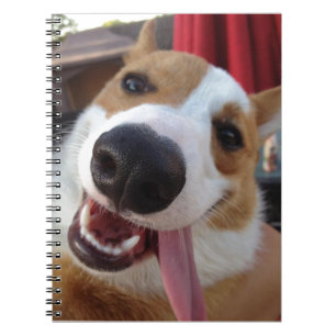 Red and White Pembroke Welsh Corgi Notebook