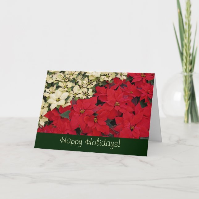 Red and White Poinsettias Holiday Card (Front)
