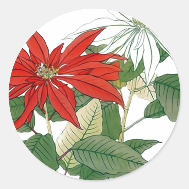 Red and White Poinsettias Round Sticker (Front)