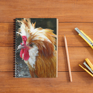 Red and White Polish Chicken Notebook