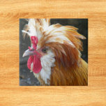 Red and White Polish Chicken Tile<br><div class="desc">For poultry fans,  chicken raisers and farmers! Ceramic tile that features the photo image of a Polish chicken with red and white feathers. Sometimes called a Top Hat Chicken and Pom Pom. Select your tile size. Makes a great kitchen trivet!</div>
