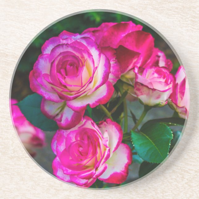Red and White Rose Coaster (Front)