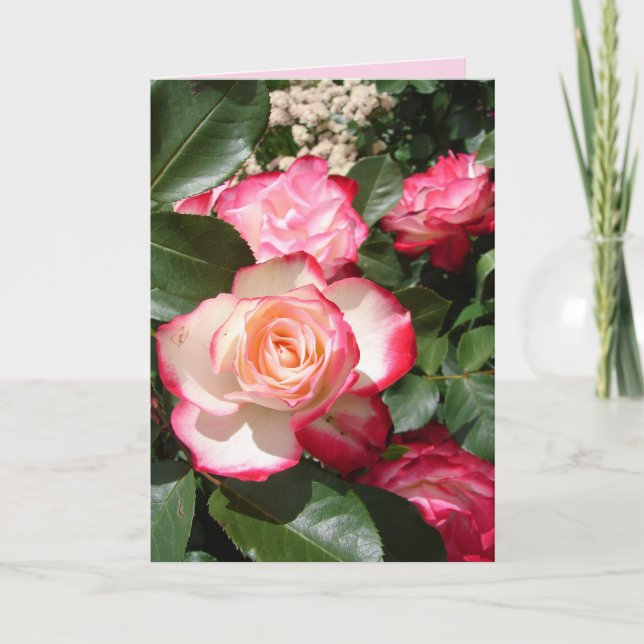 Red and White Rose Flower Floral Roses Card (Front)
