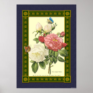 Red and White Roses Botanical Poster