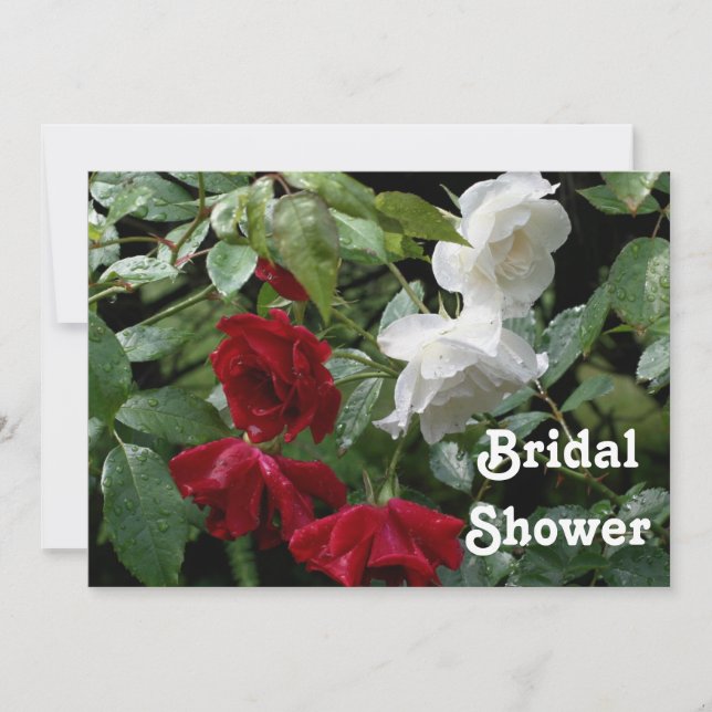 Red And White Roses Bridal Wedding Shower  Invitation (Front)