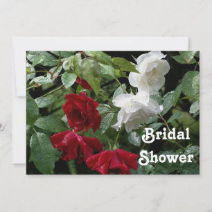 Red And White Roses Bridal Wedding Shower  Invitation