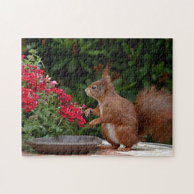 Red and White Squirrel with Red Flower Bush Jigsaw Puzzle (Horizontal)