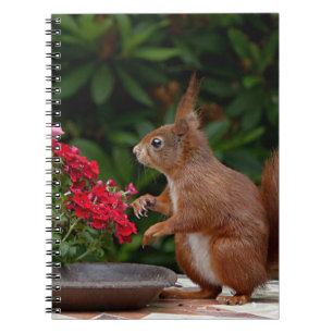 Red and White Squirrel with Red Flower Bush Notebook