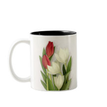 Red and White Tulips Floral