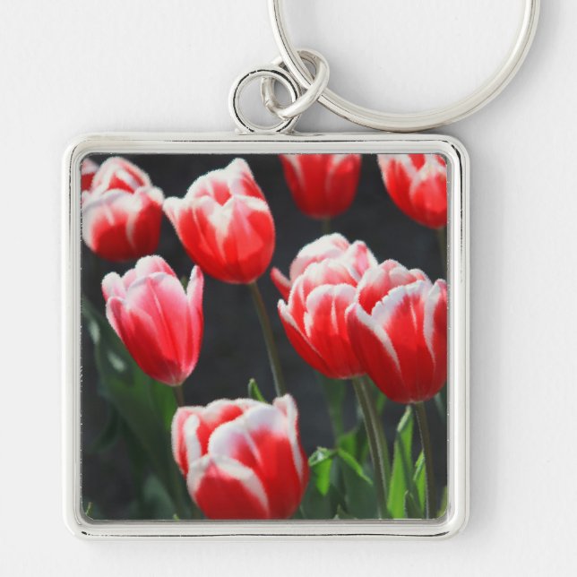 Red and white tulips keychain (Front)