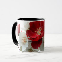 red and white wild roses