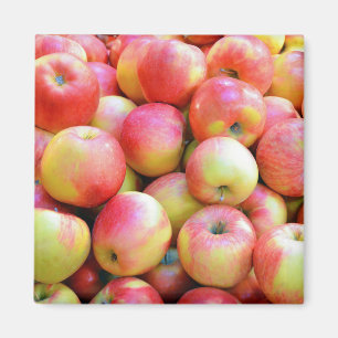 Red and yellow apples print magnet