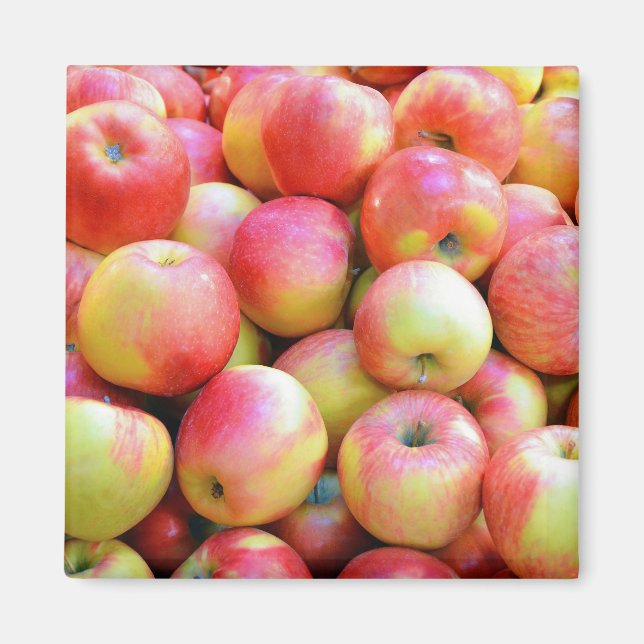 Red and yellow apples print magnet (Front)
