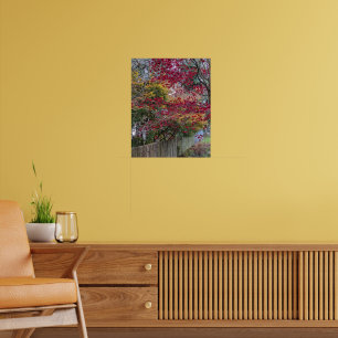 Red and Yellow Autumn Maple Leaves Poster